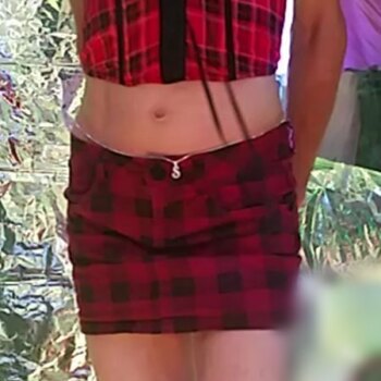 Plaid-Mini-9-21-2016-26-350x350  