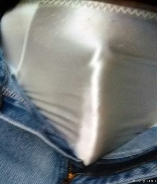 V. Satin Panty