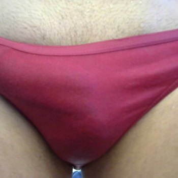 Picture 47