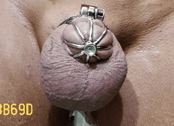BB69D sissygasm Jan 24, 2019