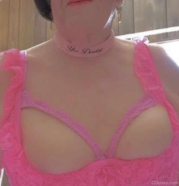 for cdsissy.com   06