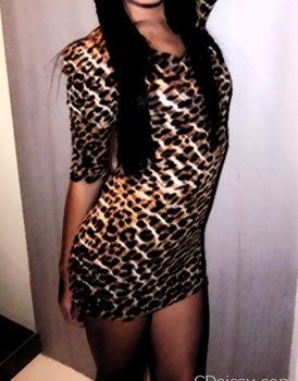 animal