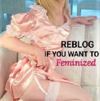 fem sissy steve kuhn