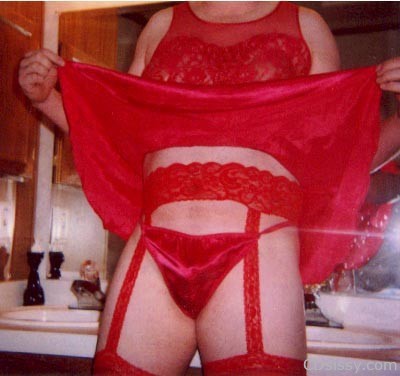 Red-Babydoll-with-pantiesNylonsgarters-bff2c3962ae78ad03b45cc4808e12ea4  