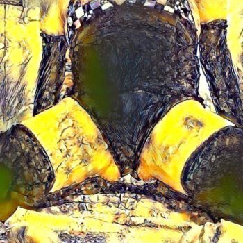 2-c3b63269