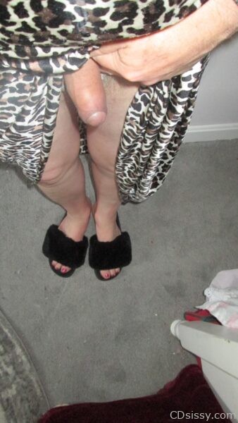 IMG_4178-5cd4dd48