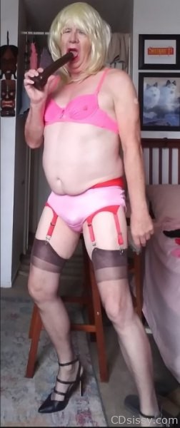 Sissy Panty Queen 3