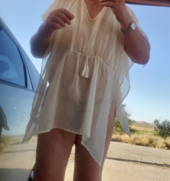 At the roadside rest area