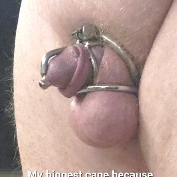 3  Double ball rings