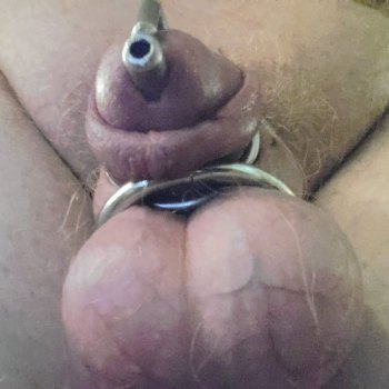 4  pee cage