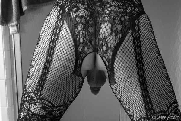 DSC_4502