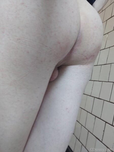 IMG_20240823_142716