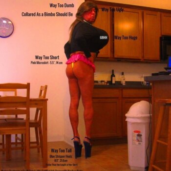 pic48005txt1