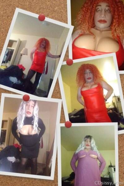 IMG_20221009_052003711-COLLAGE