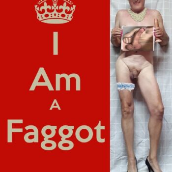 Im-a-faggot2